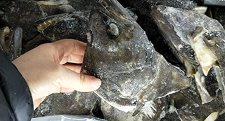 【案例】   冰岛进口冻鱼头至宁波港口...