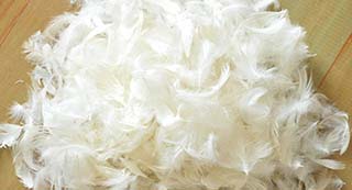 【案例】巴基斯坦进口鸭毛至宁波港口...